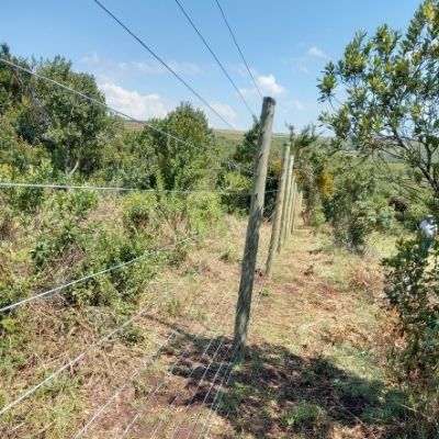 Farm Electric Fence in Kenya