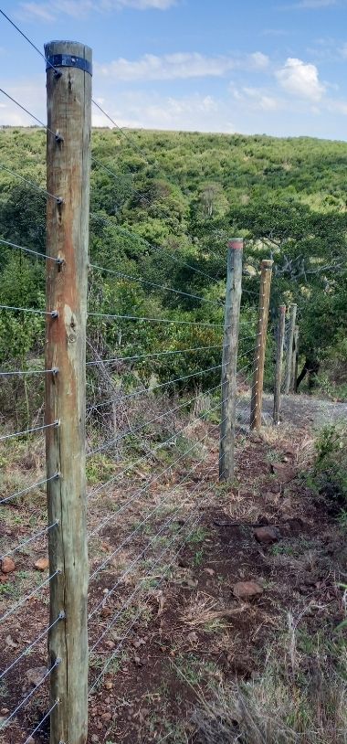 Farm Fences In Kenya Installation And, Farm Fencing Ideas