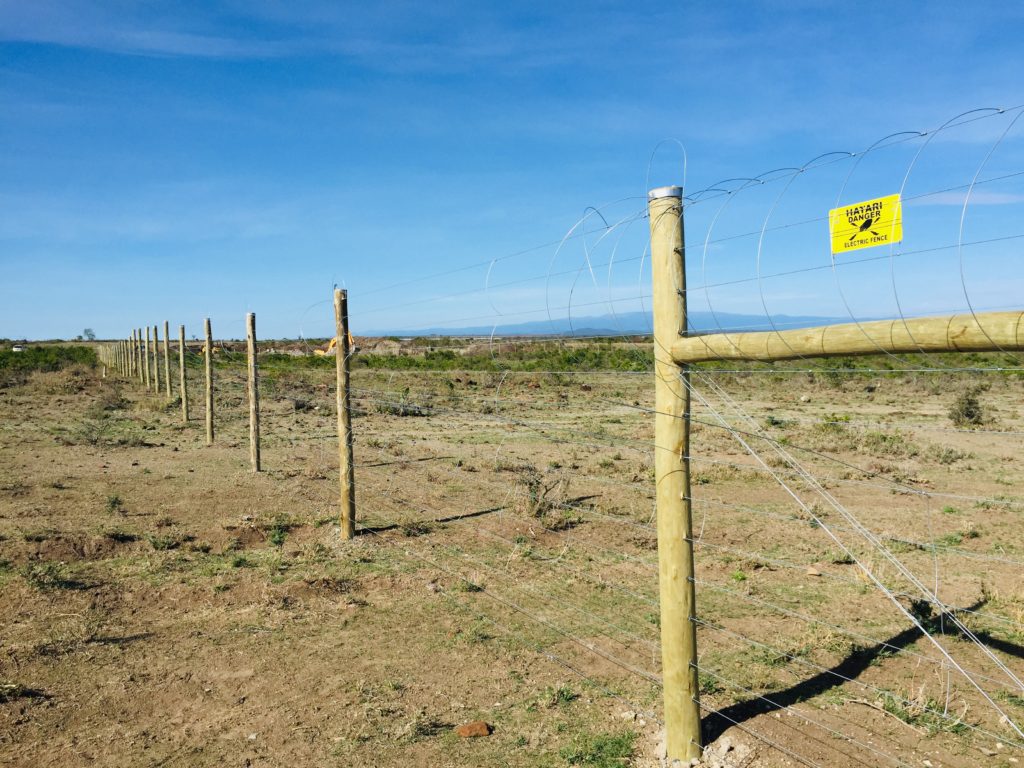 Farm Fences in Kenya