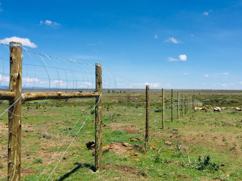 farm fences in Kenya