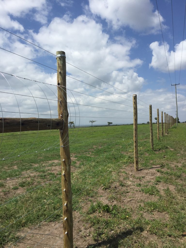 farm fences in Kenya