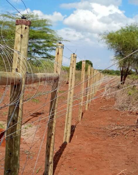  wildlife conservancy electric fences in Kenya